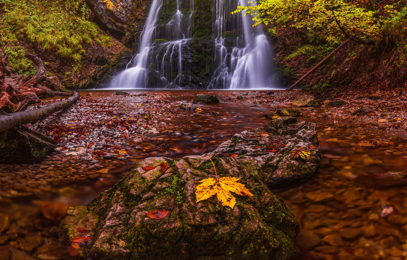 Photo wallpaper autumn, leaves, river, stones, waterfall, cascade