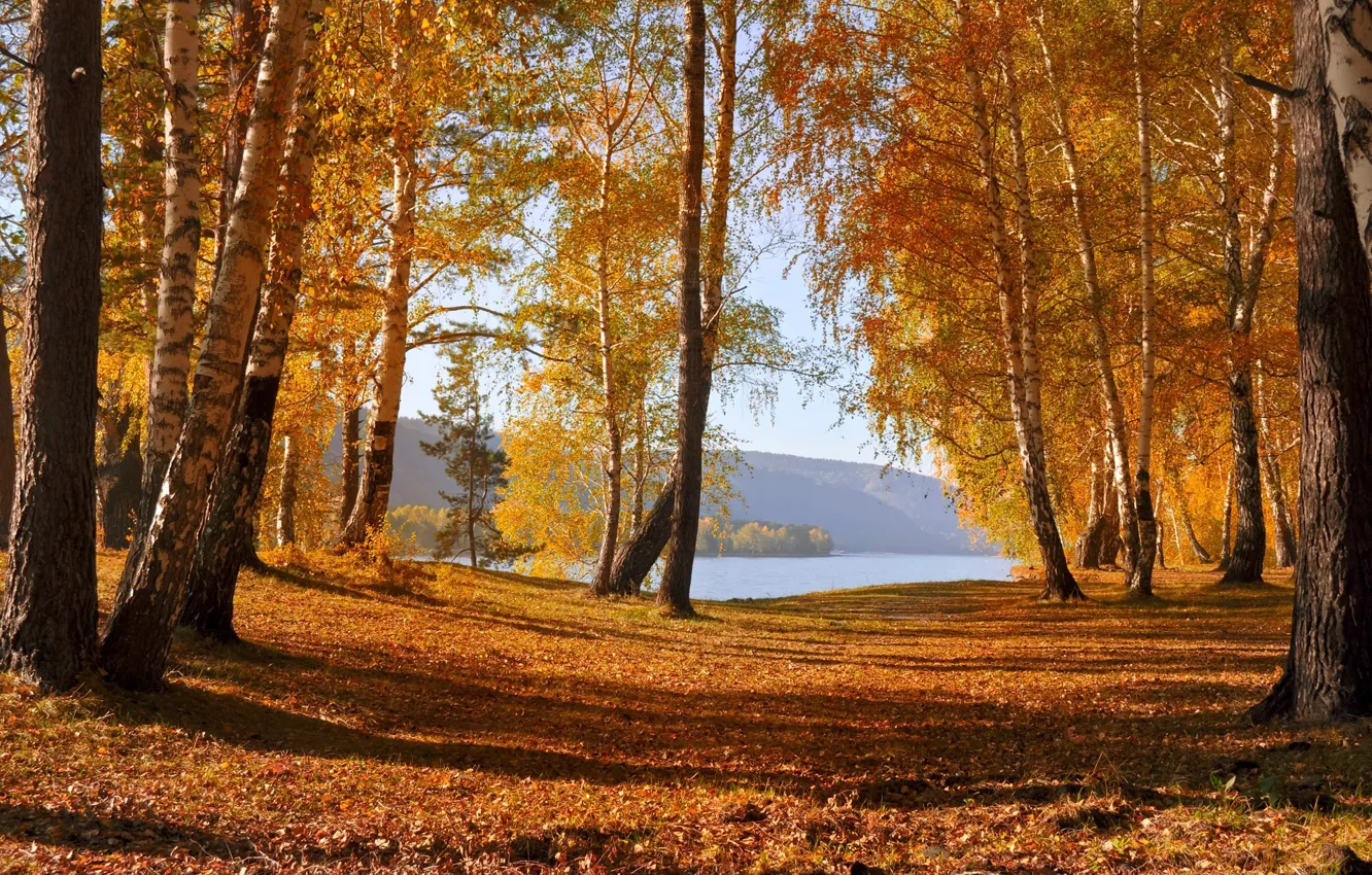 Photo wallpaper autumn, leaves, trees, mountains, lake, Nature