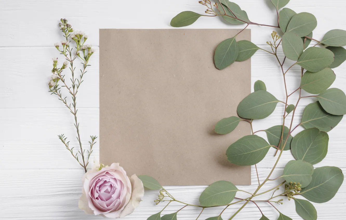 Photo wallpaper greens, flowers, paper, roses, buds