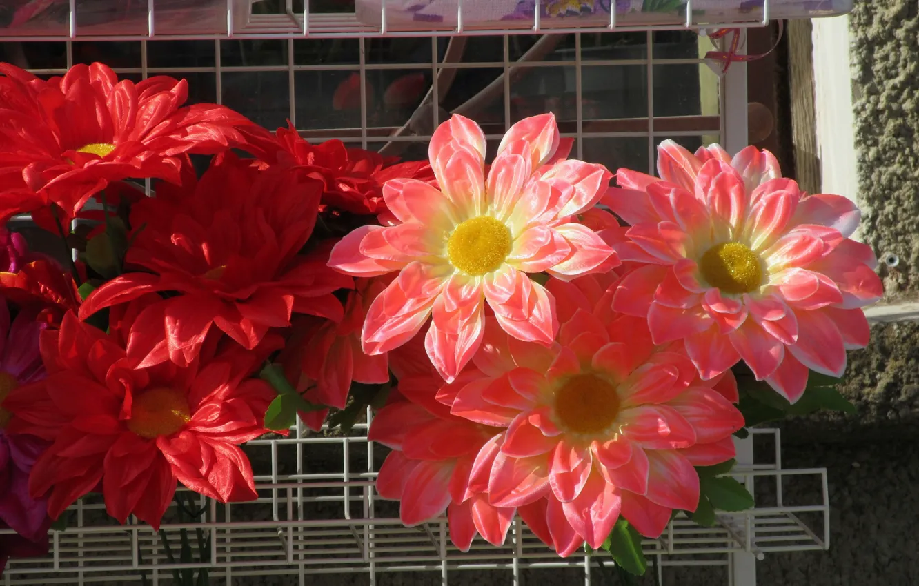 Photo wallpaper Flowers, Chamomile, artificial flowers, Meduzanol ©
