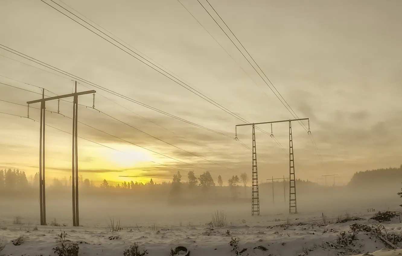 Photo wallpaper winter, fog, morning, power lines
