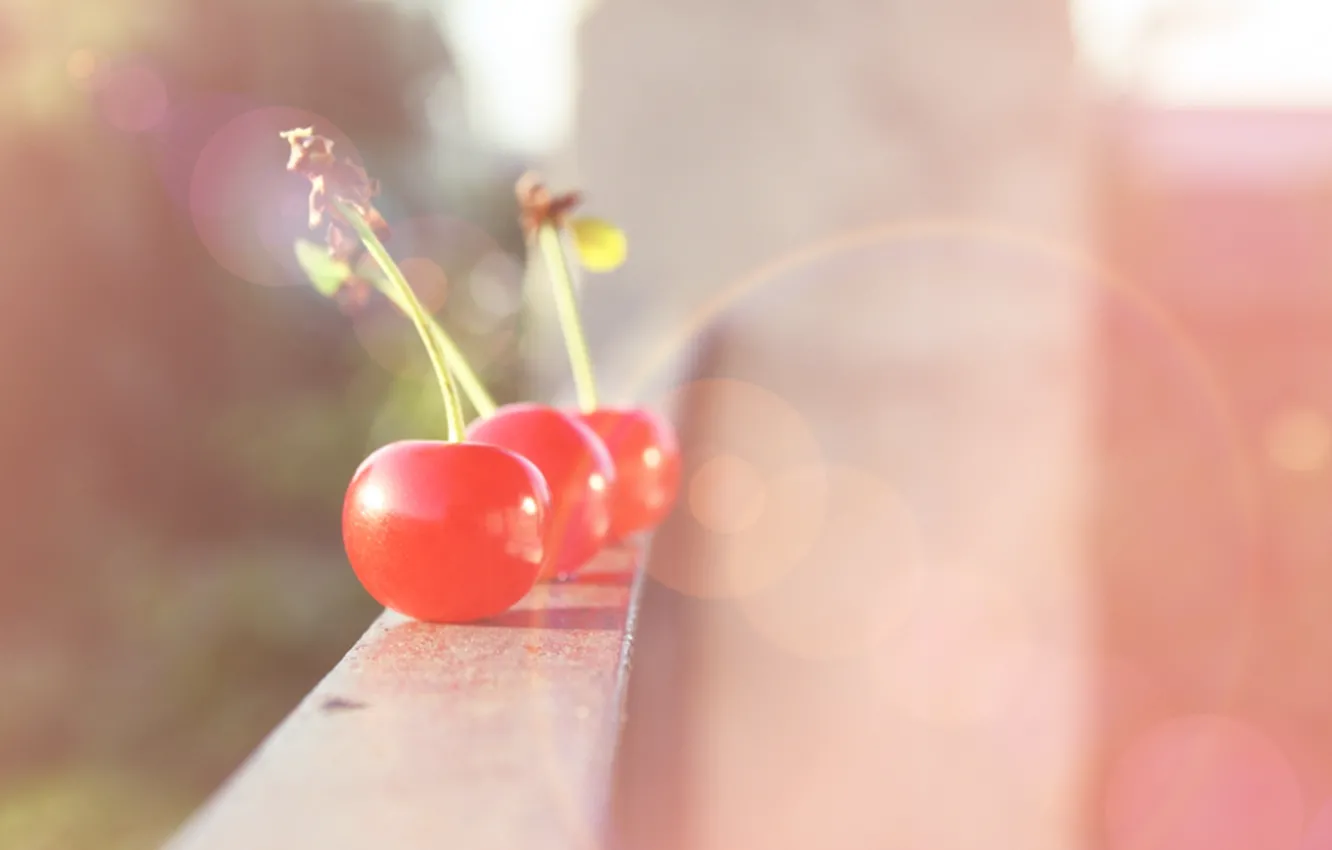 Photo wallpaper rays, light, cherry, glare, berries, mood, balcony, fruit