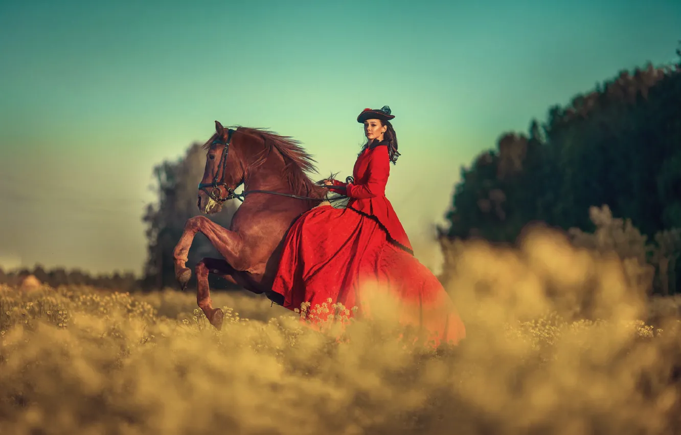 Photo wallpaper field, the sky, girl, horse, dress, brunette, Annie Of Antikov
