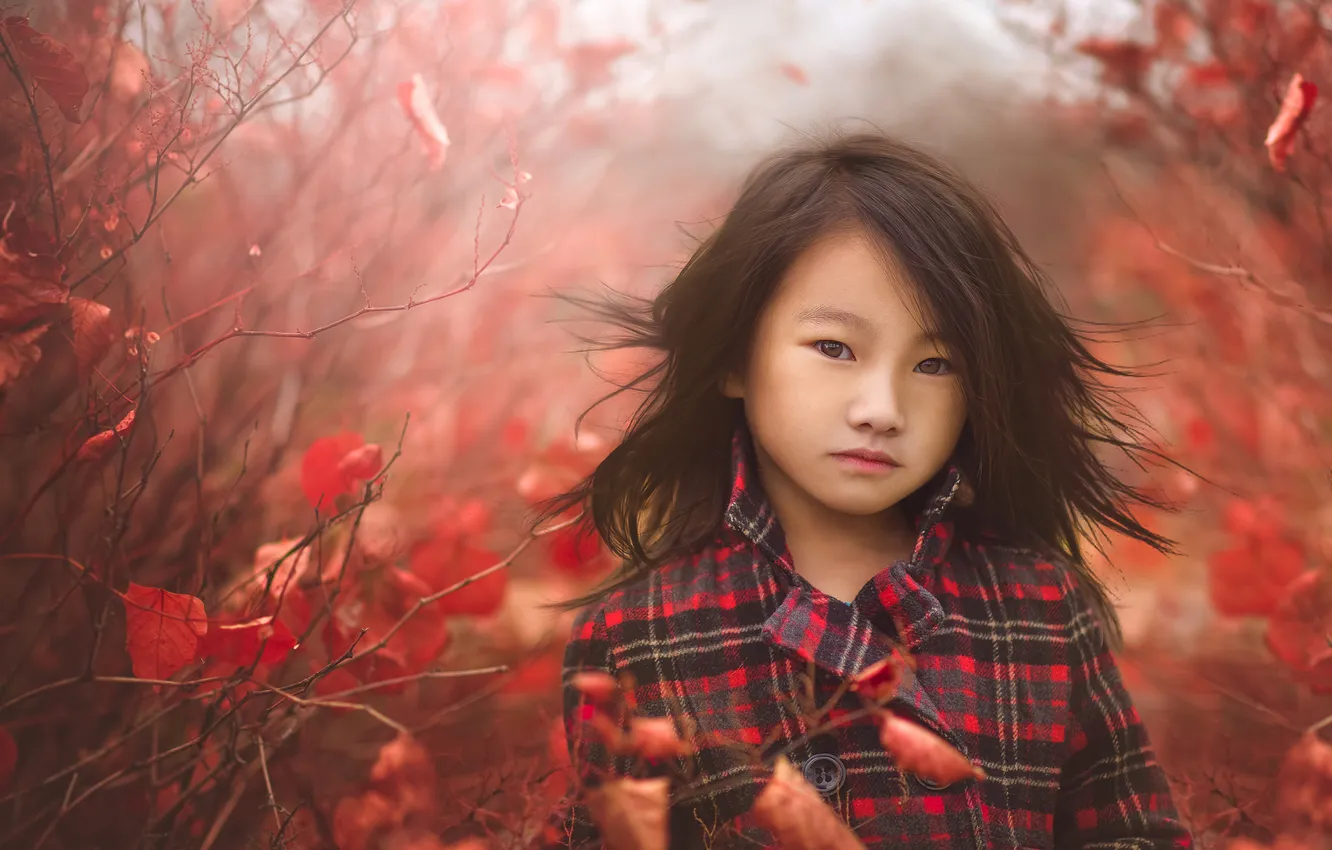 Photo wallpaper autumn, nature, girl