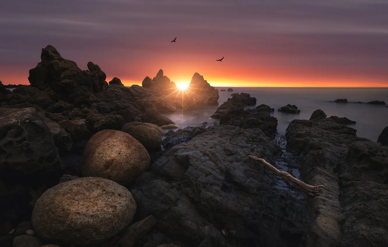 Photo wallpaper sea, sunset, rocks