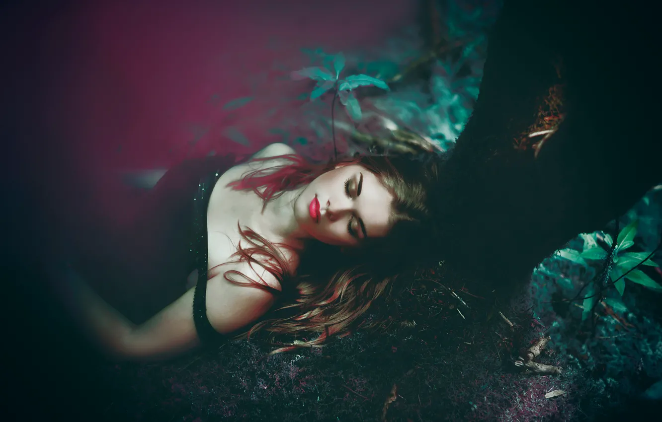 Photo wallpaper forest, girl, trees, stay, sleep
