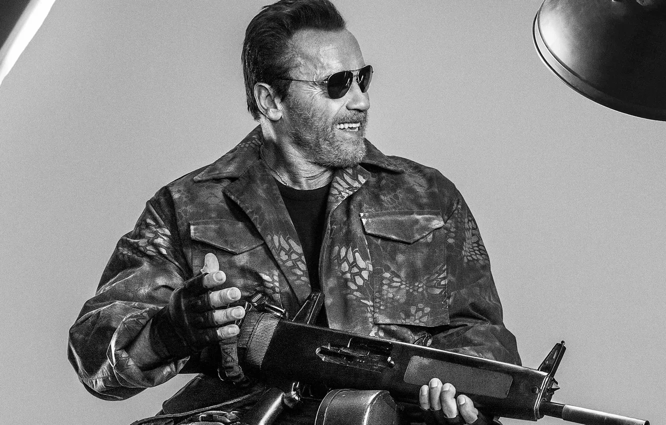 Photo wallpaper Arnold, Schwarzenegger, Arnold, Schwarzenegger, The Expendables 3, The expendables 3