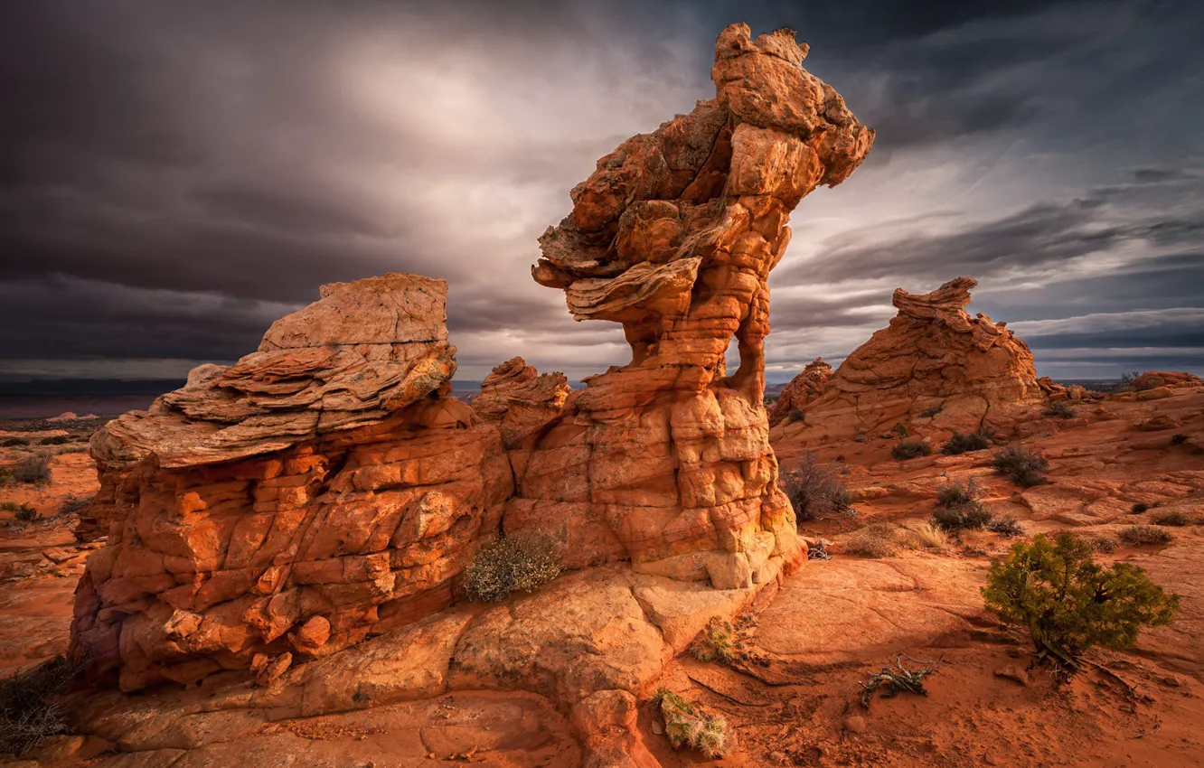 Photo wallpaper Arizona, Vermilion Cliffs Wilderness, South Coyote Buttes