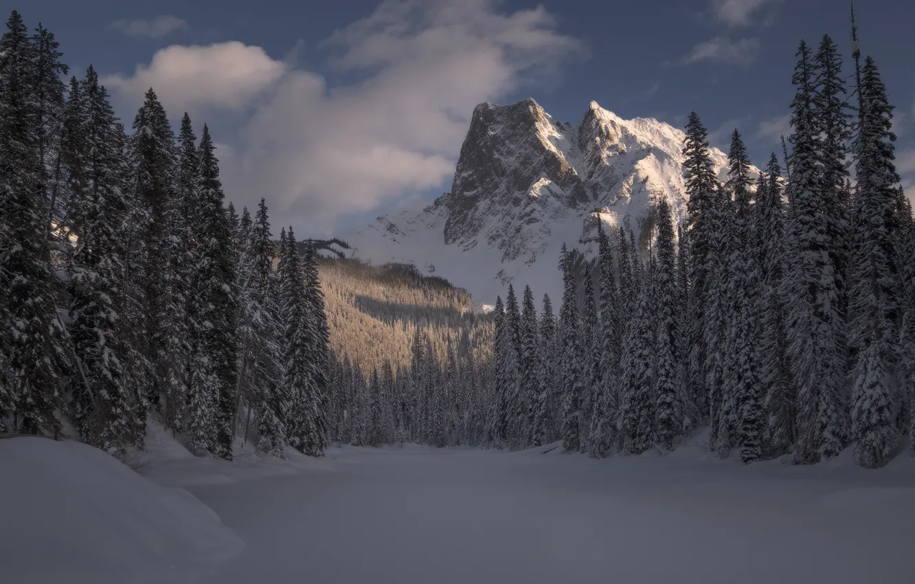 Photo wallpaper winter, frost, forest, clouds, light, snow, mountains, nature