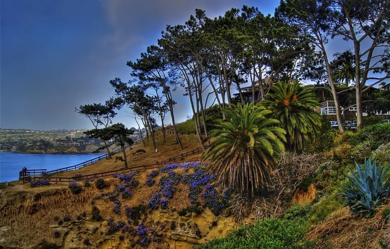 Photo wallpaper the sky, trees, flowers, nature, rocks, Bay, USA, California