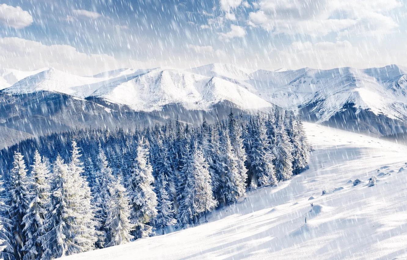 Photo wallpaper winter, forest, clouds, mountains, tree, snowfall