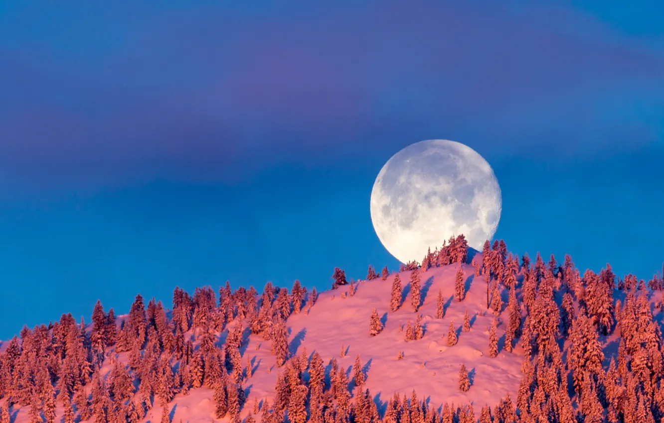Photo wallpaper winter, the sky, the moon