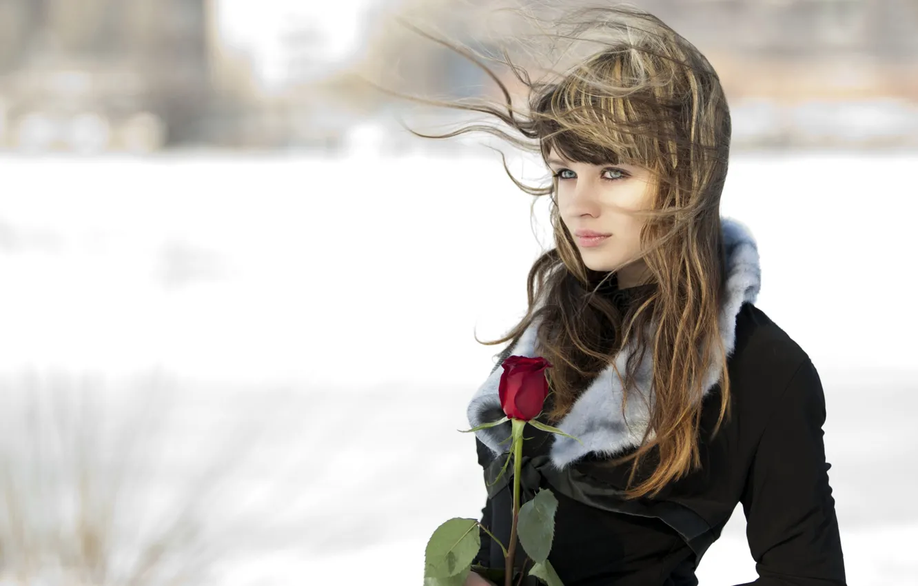 Photo wallpaper girl, background, rose