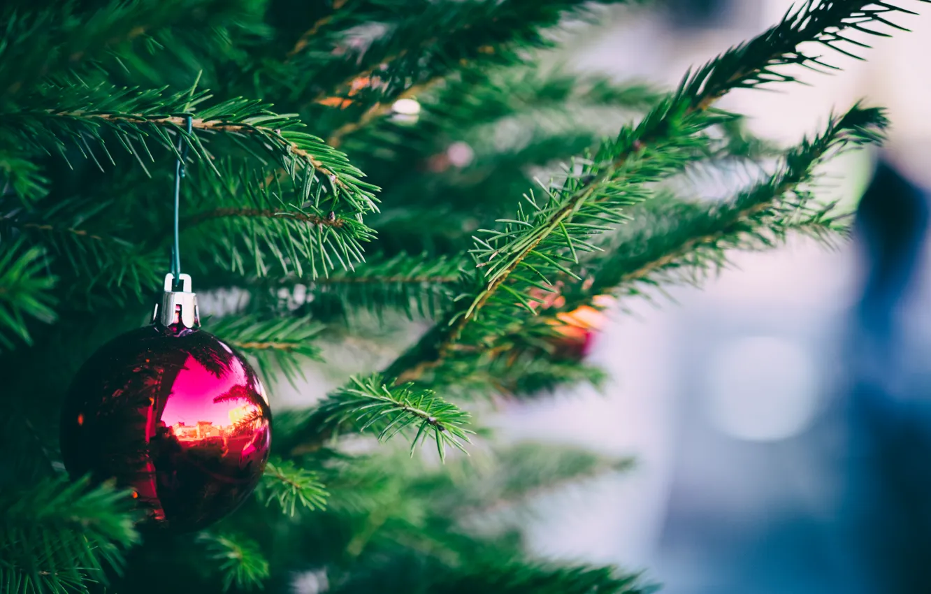 Photo wallpaper needles, balls, toy, tree