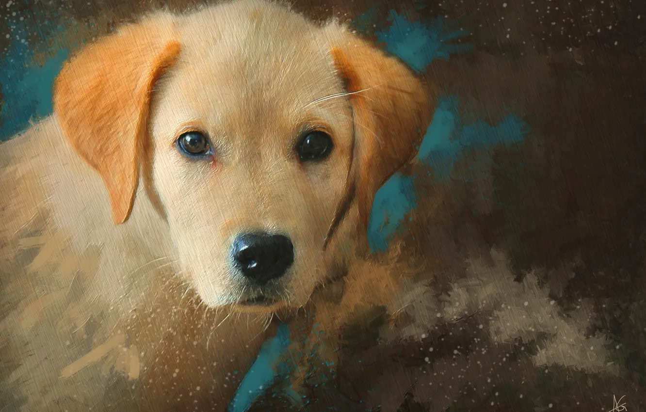 Photo wallpaper face, figure, portrait, dog, picture, red, puppy, painting