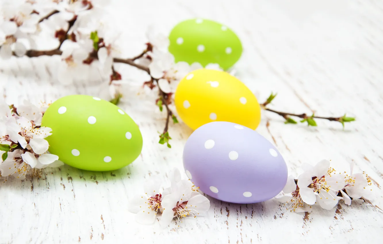 Photo wallpaper flowers, eggs, spring, colorful, Easter, wood, blossom, flowers
