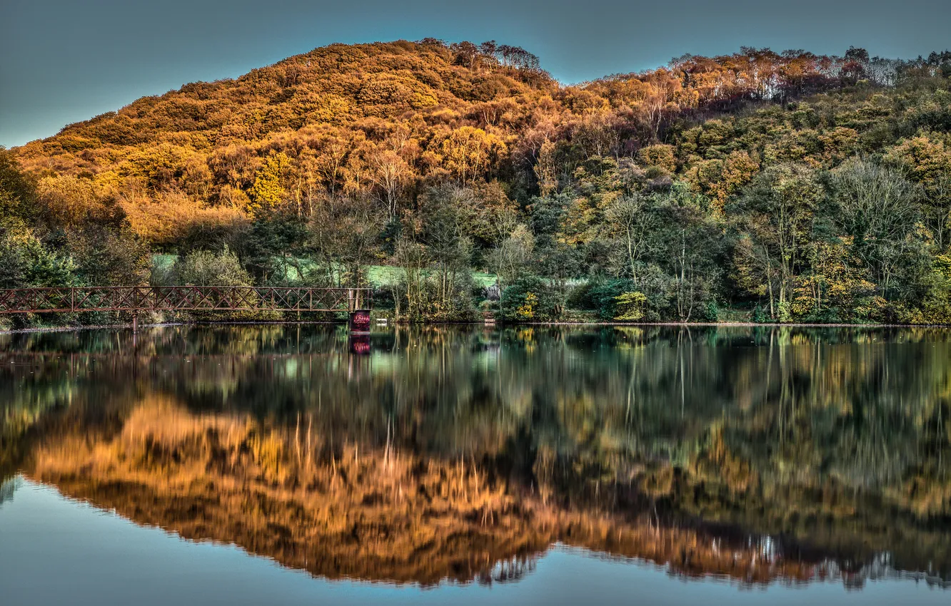 Photo wallpaper autumn, forest, bridge, lake, reflection, hills, England, England