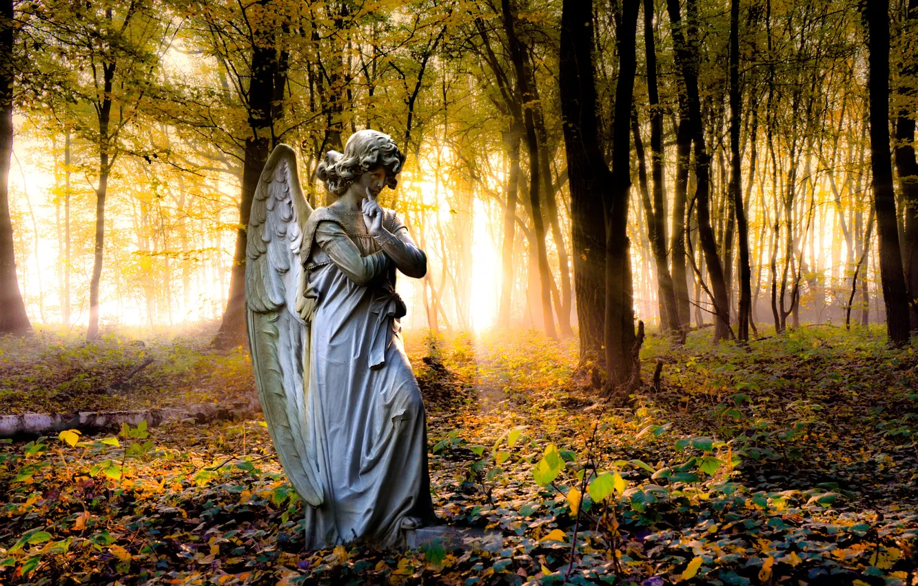 Photo wallpaper forest, trees, angel, statue