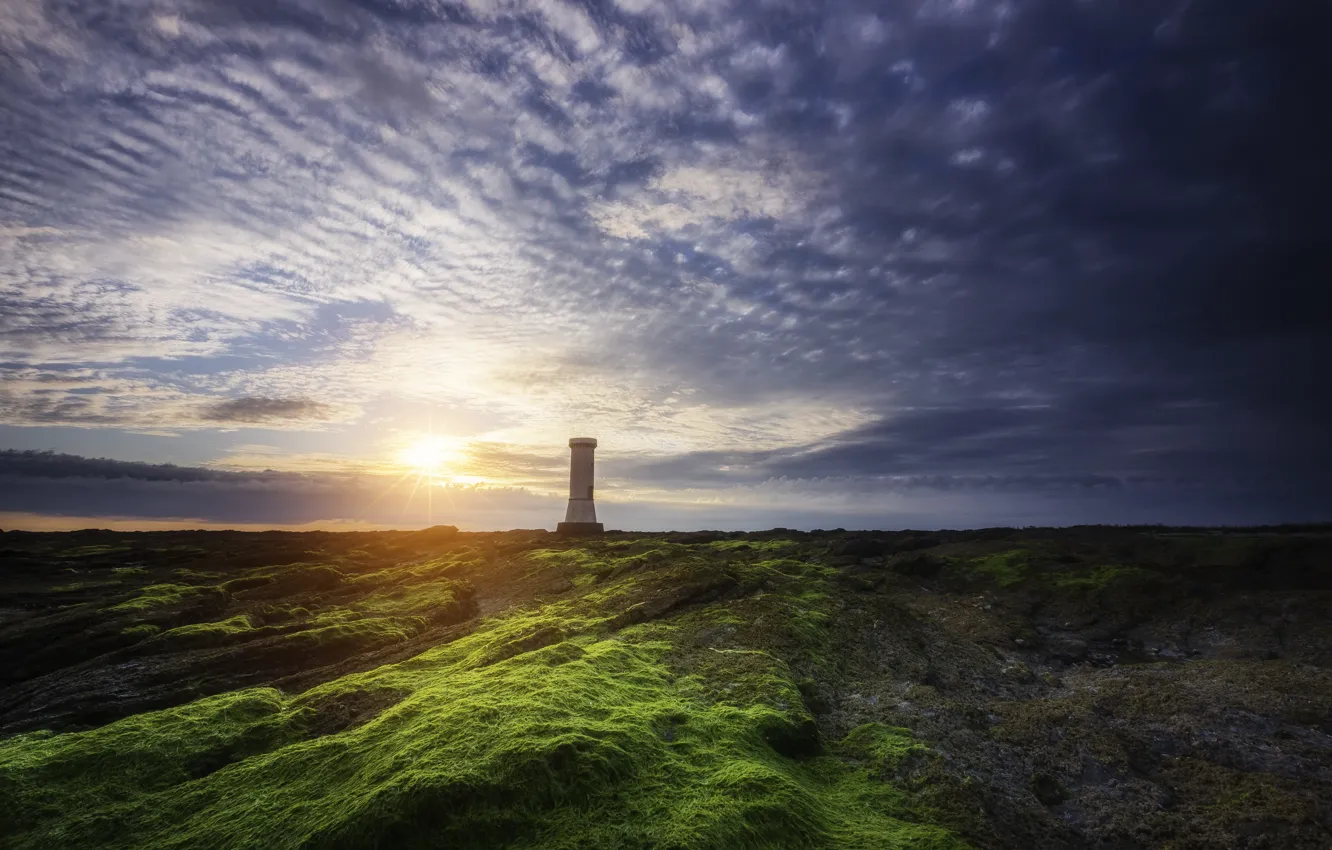 Photo wallpaper sunset, nature, tower