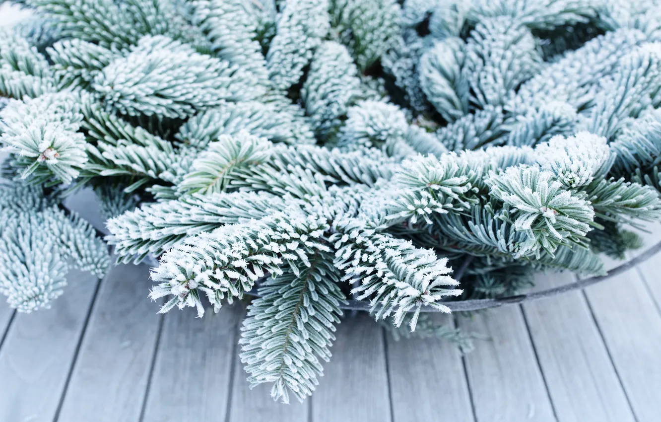 Photo wallpaper frost, branches, nature, spruce, needles