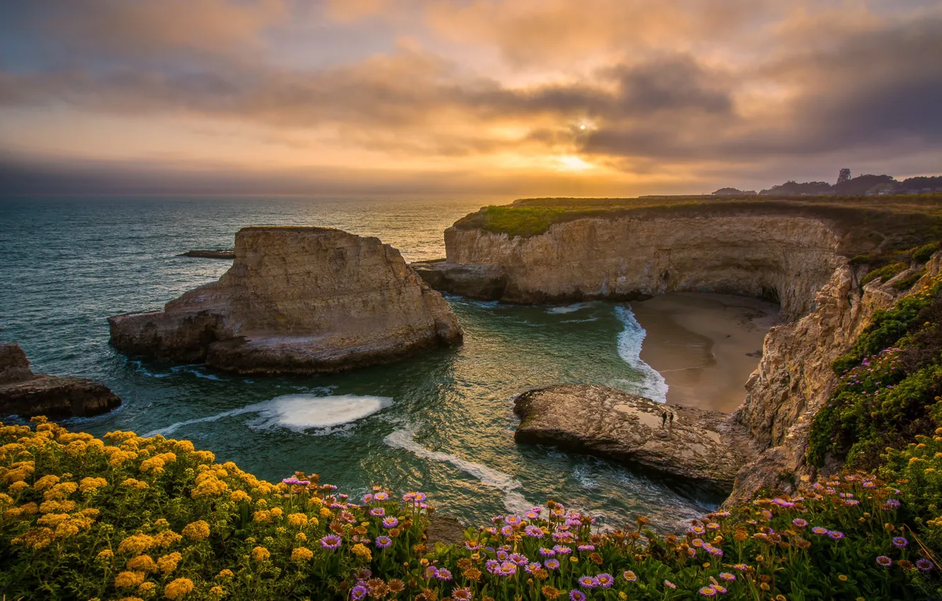 Photo wallpaper sunset, flowers, rocks, coast, Bay, CA, Pacific Ocean, California