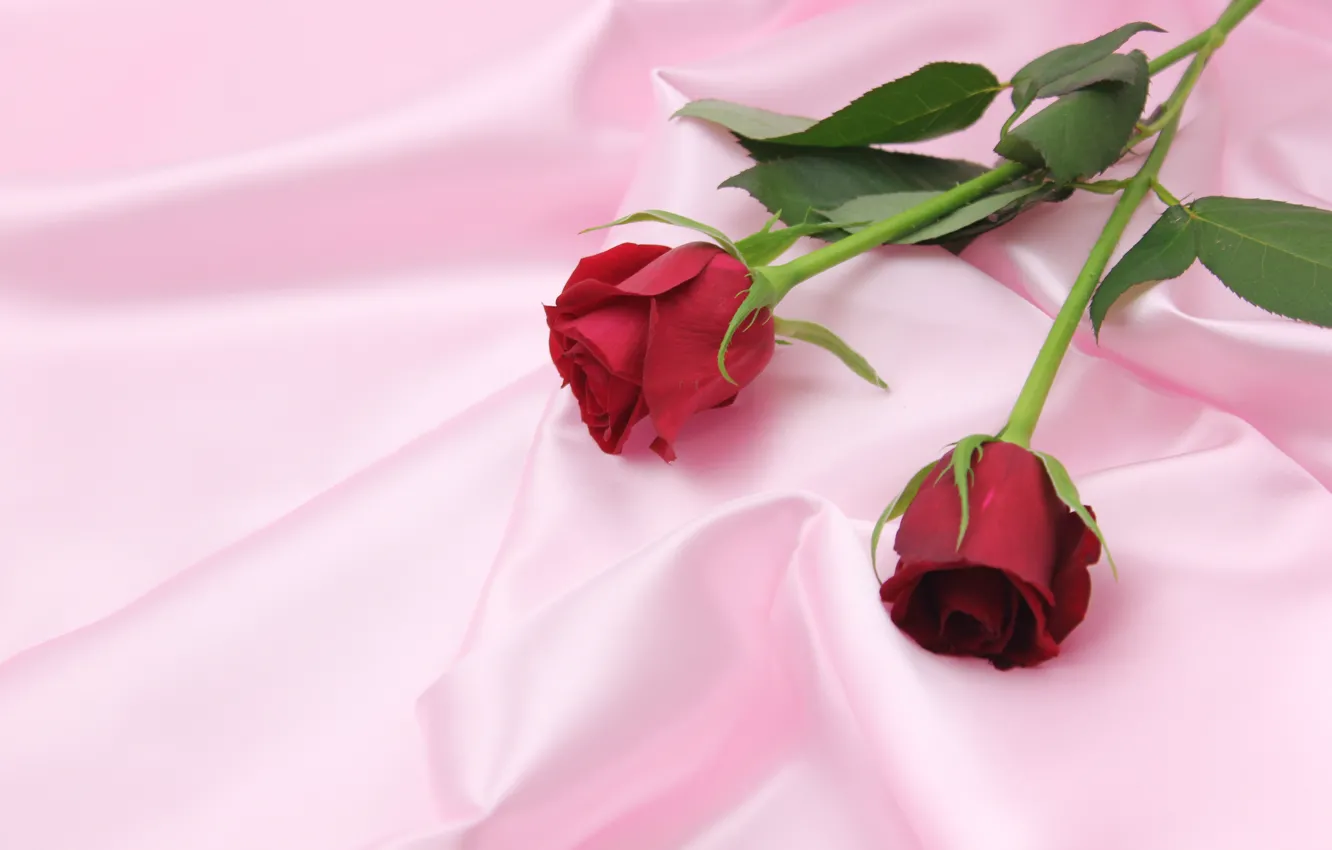 Photo wallpaper background, roses, Flowers, bouquet, Pink, Fabric