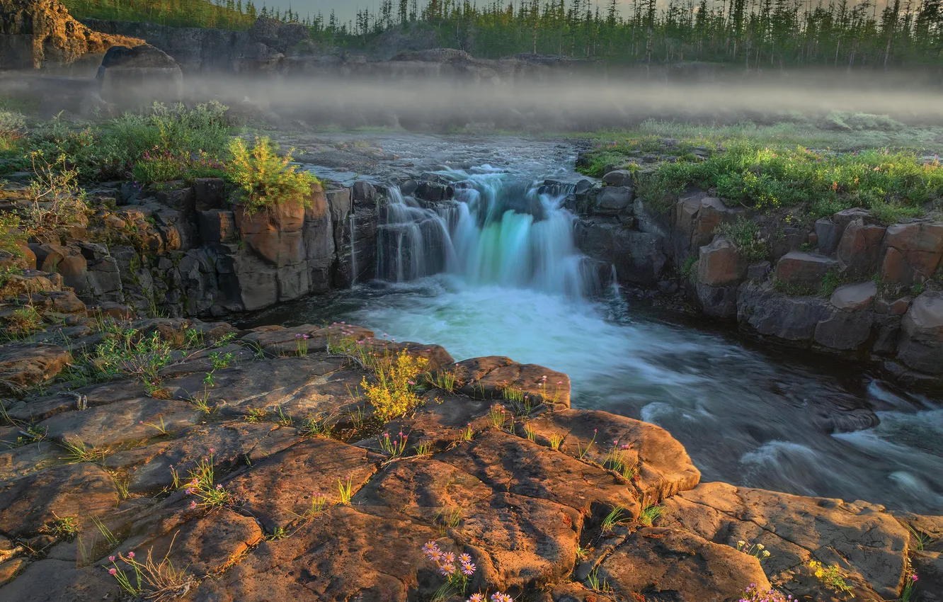 Photo wallpaper flowers, river, stream, waterfall, Russia, Krasnoyarsk Krai, Vladimir Ryabkov, The Putorana Plateau