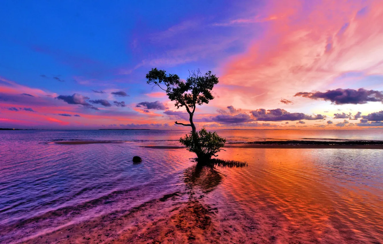 Photo wallpaper water, clouds, trees, sunset