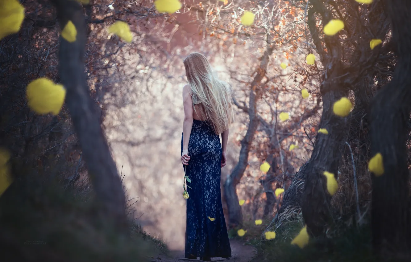 Photo wallpaper girl, flowers, yellow, petals, dress, blonde