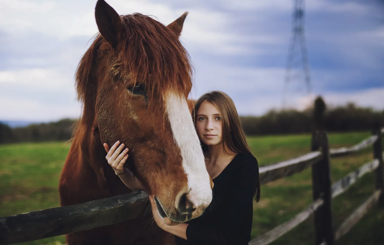 Photo wallpaper girl, mood, horse