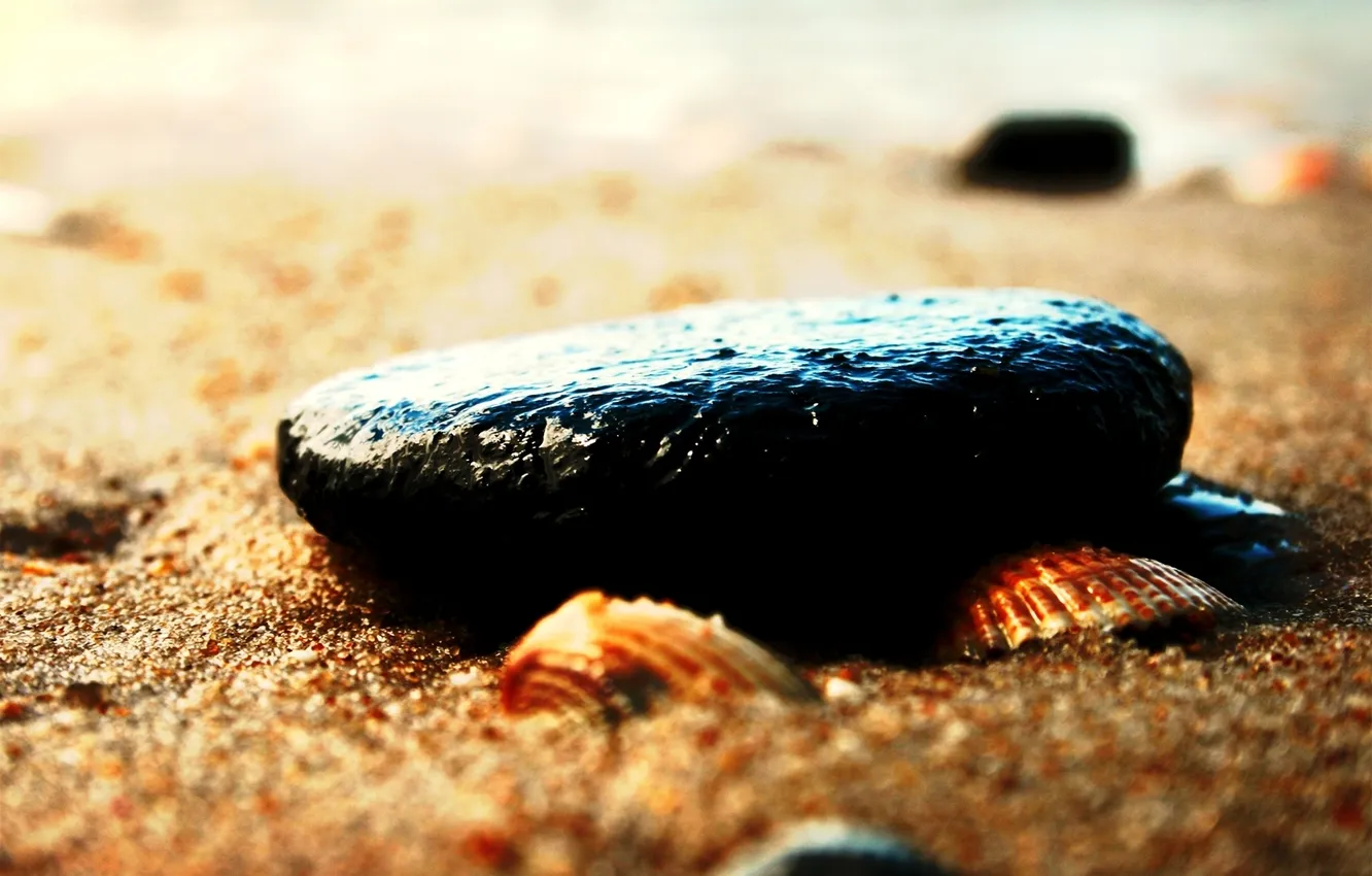 Photo wallpaper sand, beach, macro, pebbles, stones, shell, nautical theme