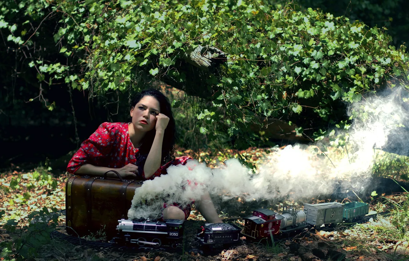 Photo wallpaper smoke, train, Locomotive