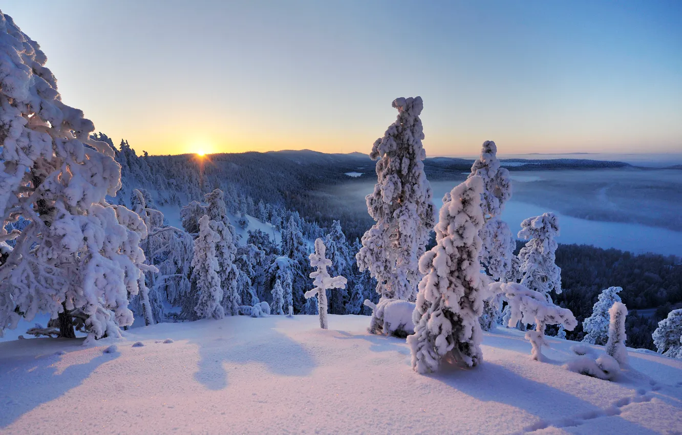 Photo wallpaper winter, snow, trees, landscape, Hand, panorama, Finland, Finland