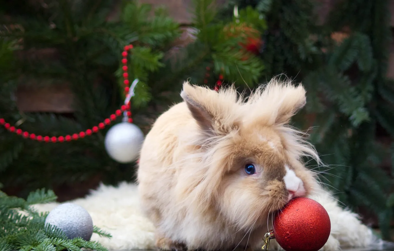 Photo wallpaper balls, fluffy, rabbit, Christmas decorations