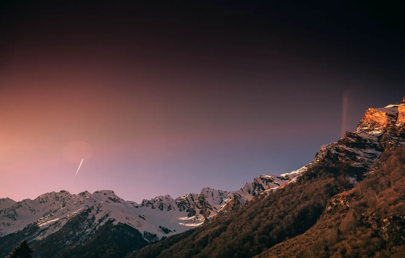 Photo wallpaper forest, the sky, snow, mountains, tops, snowy peaks