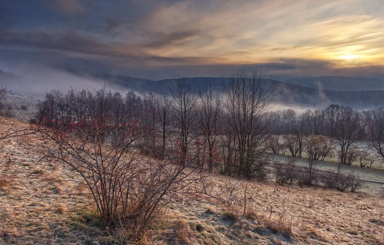 Photo wallpaper landscape, morning, Waiting for Spring, Jesneniky