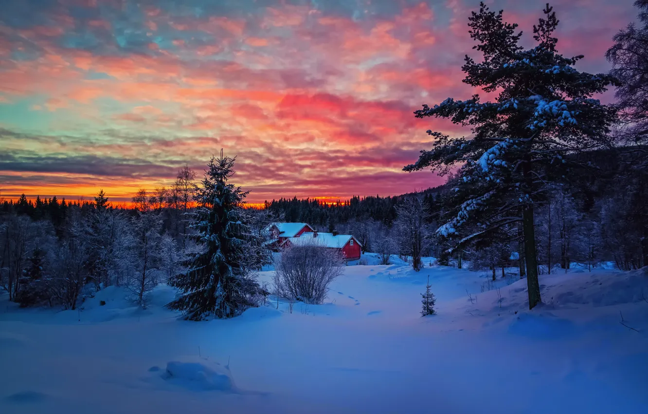 Photo wallpaper winter, forest, the sky, clouds, snow, sunset, house, paint