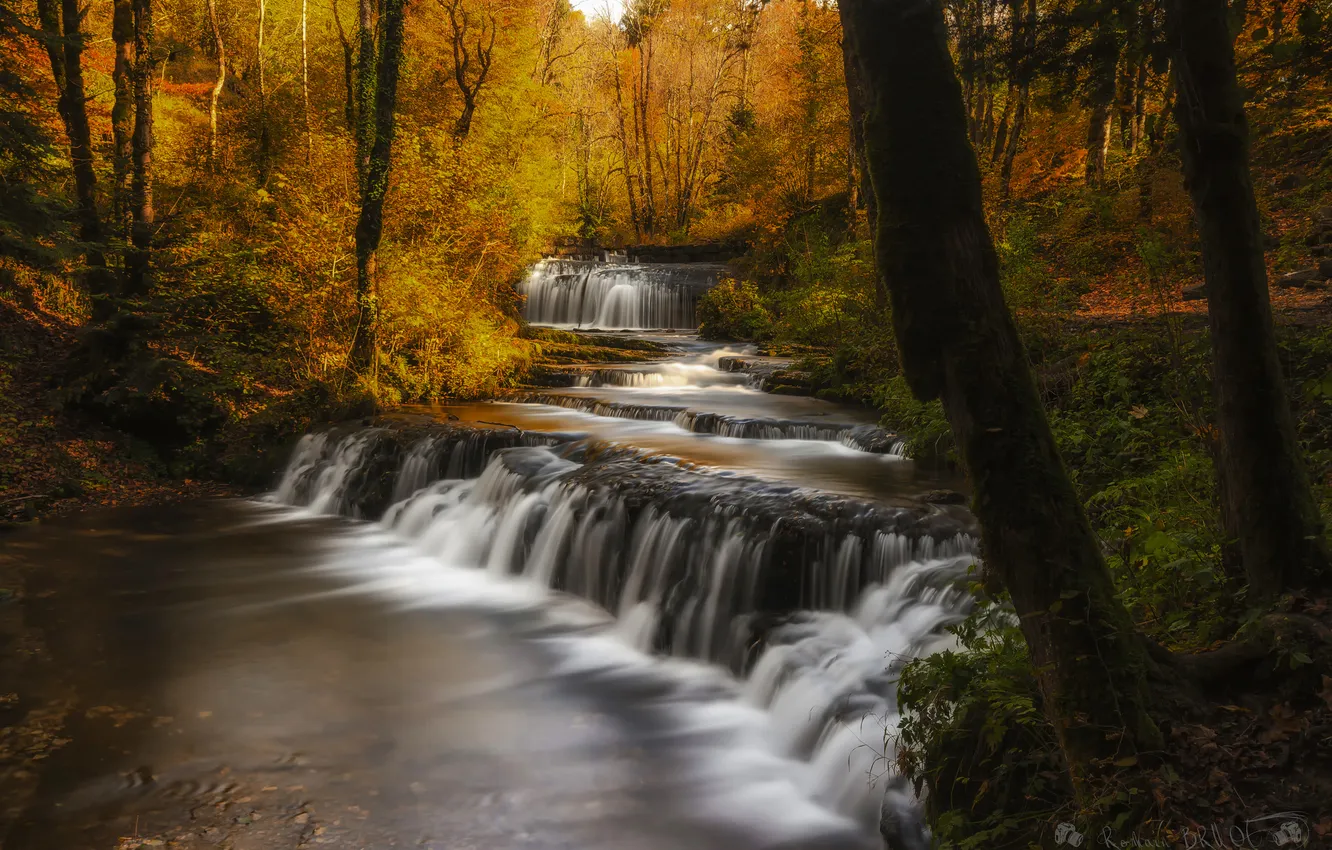 Photo wallpaper autumn, leaves, trees, waterfall, stream, fall colors