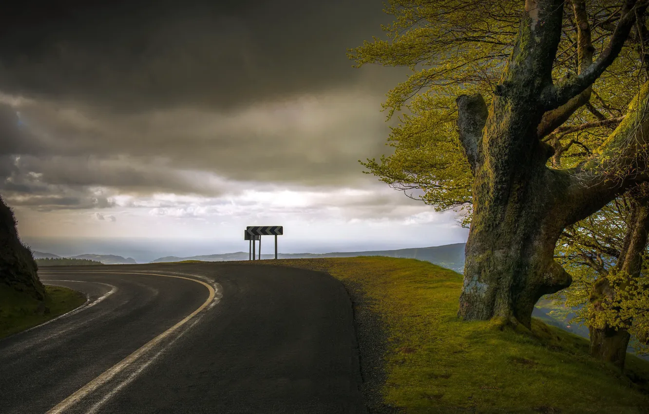 Photo wallpaper road, the sky, tree, turn