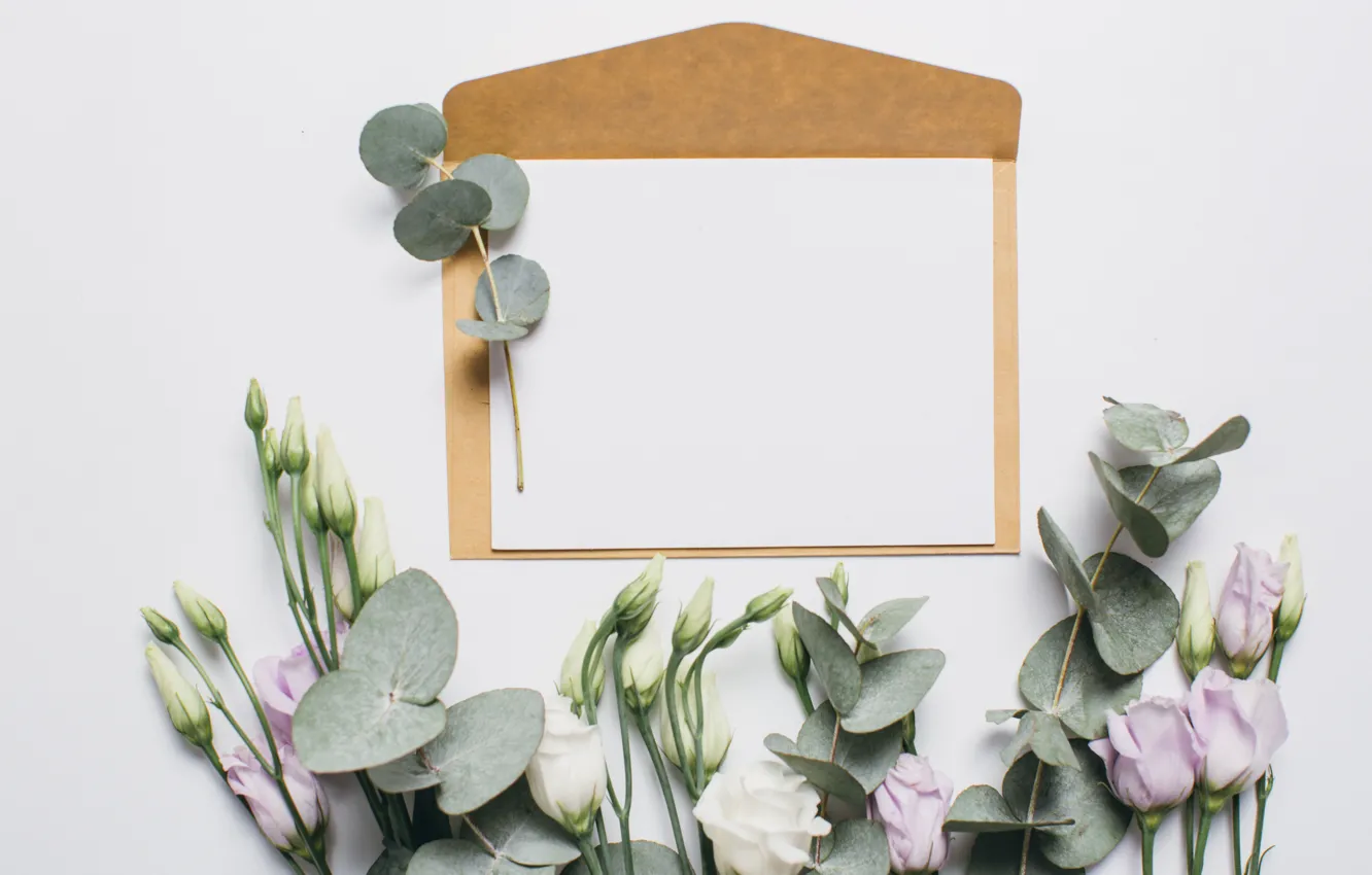 Photo wallpaper letter, flowers, the envelope, eustoma