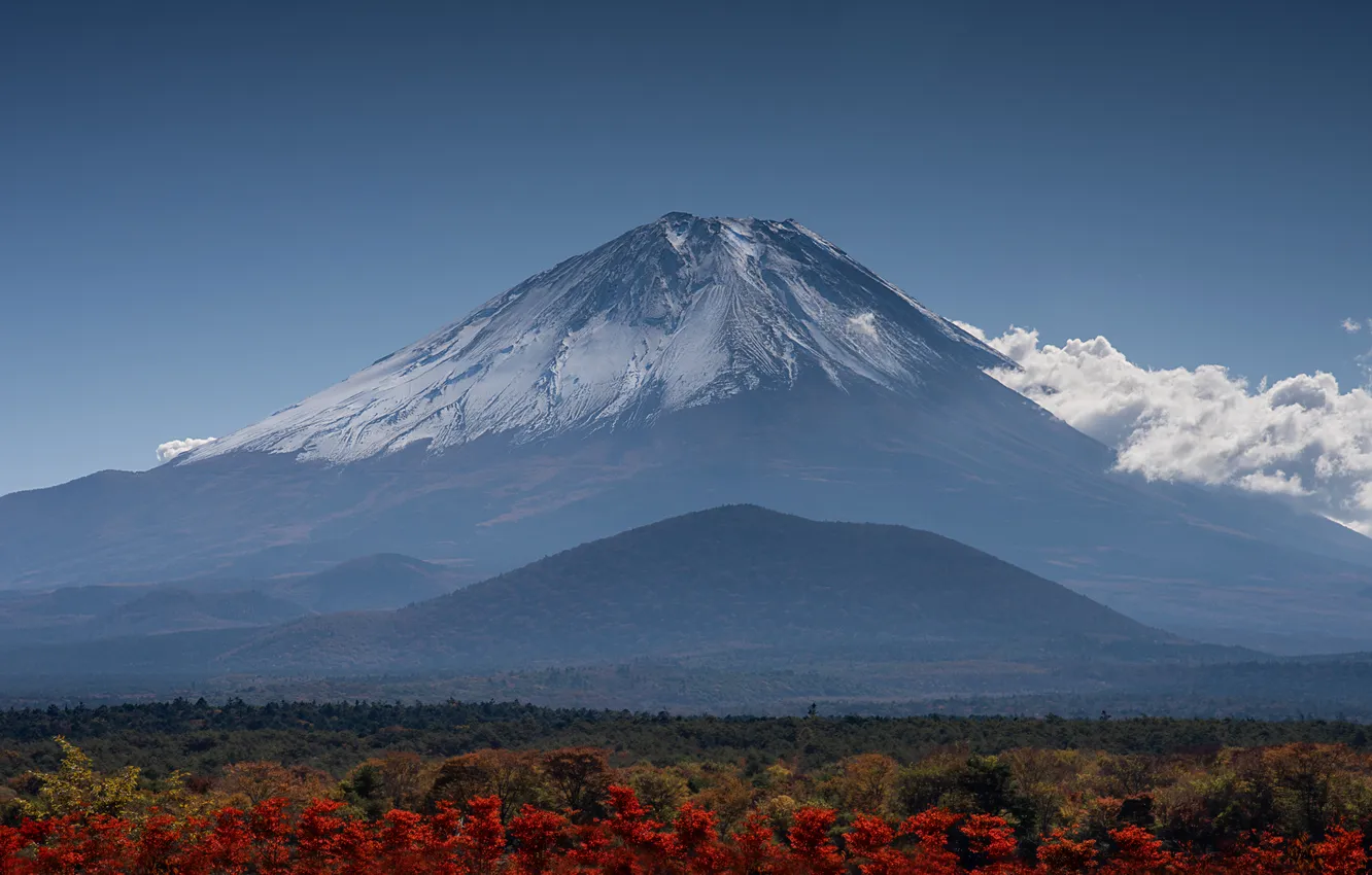Photo wallpaper forest, the sky, mountains, nature, tops
