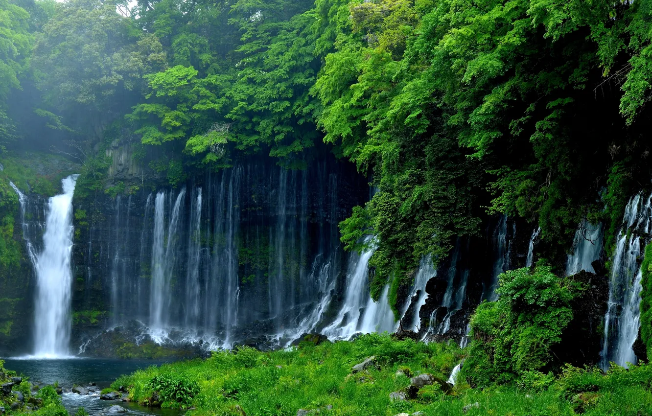 Photo wallpaper greens, trees, nature, Japan, waterfall, Fujinomiya, Lake Tanuki