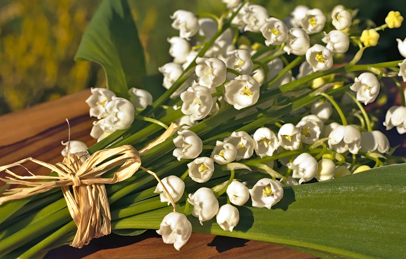 Photo wallpaper leaves, light, flowers, background, bouquet, spring, stem, may