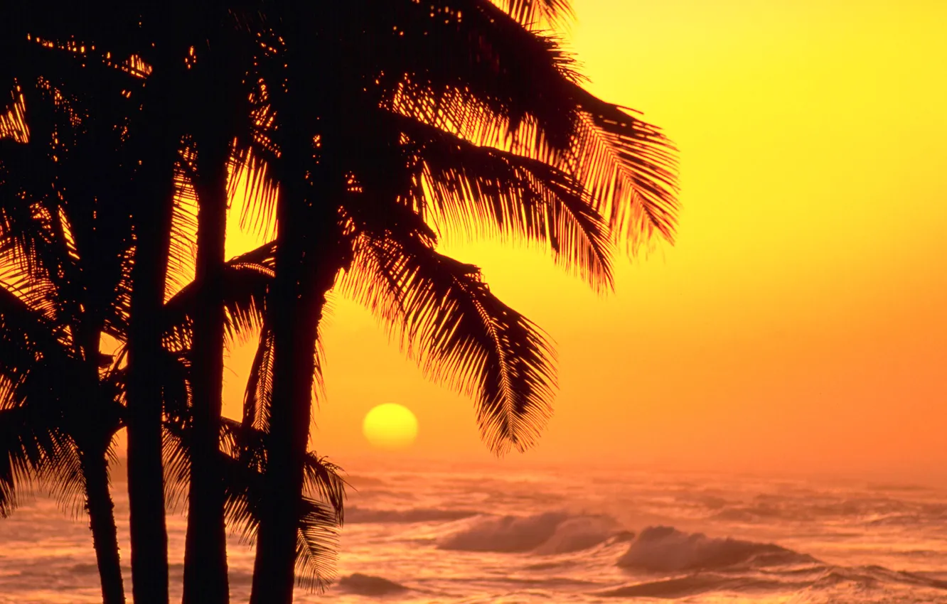 Photo wallpaper sea, wave, the sky, the sun, sunset, palm trees, silhouette