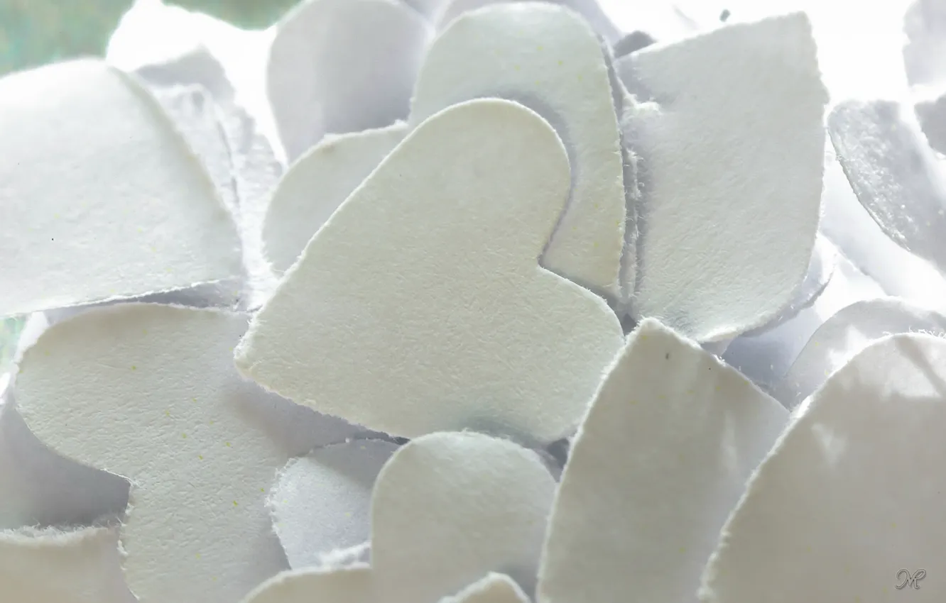 Photo wallpaper macro, paper, heart
