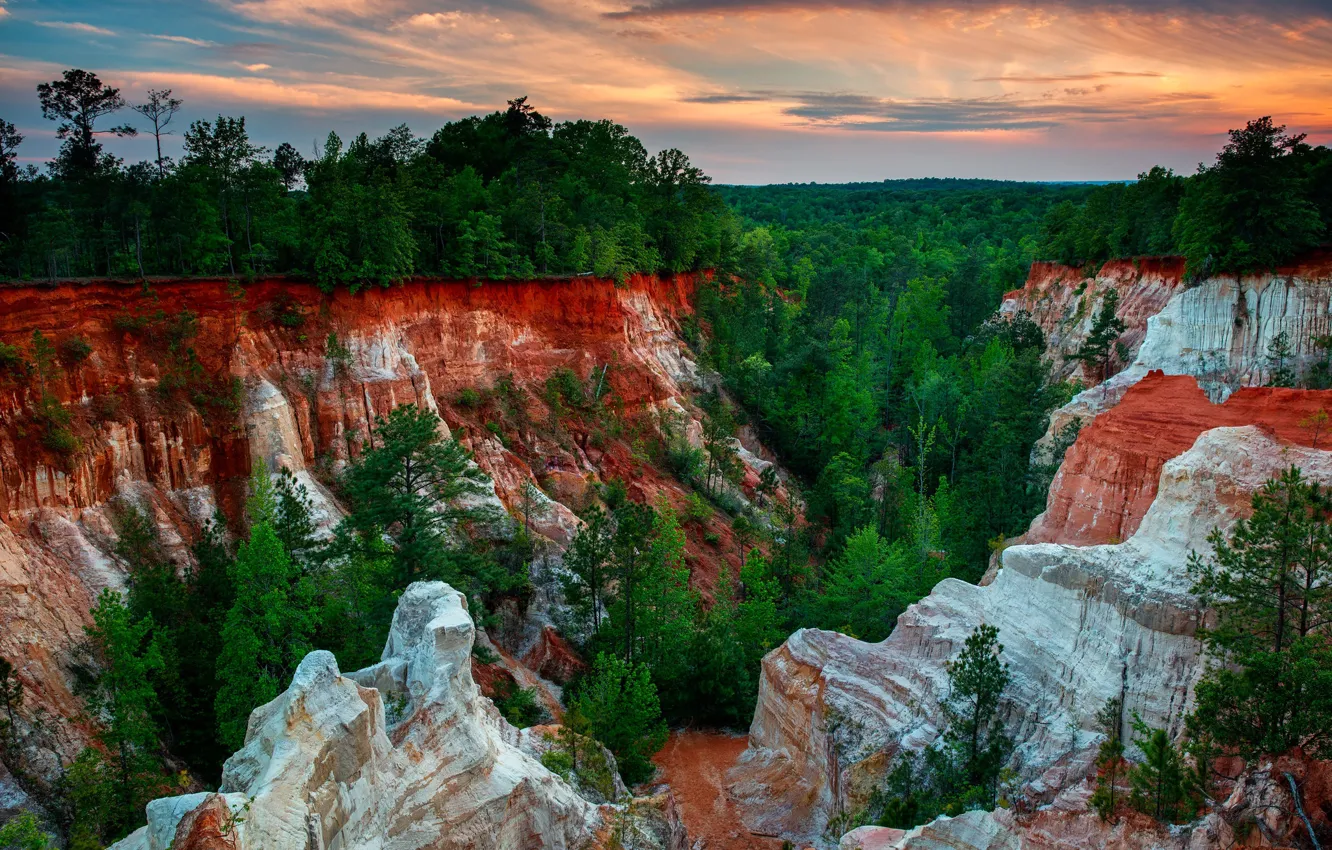 Photo wallpaper greens, forest, mountains, rocks, vegetation, slope, canyon