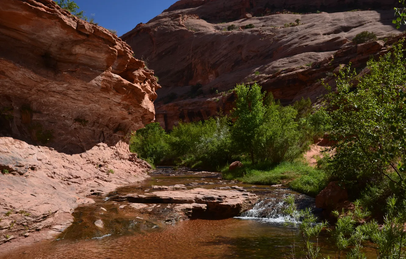 Photo wallpaper summer, canyon, Utah, country's best cool