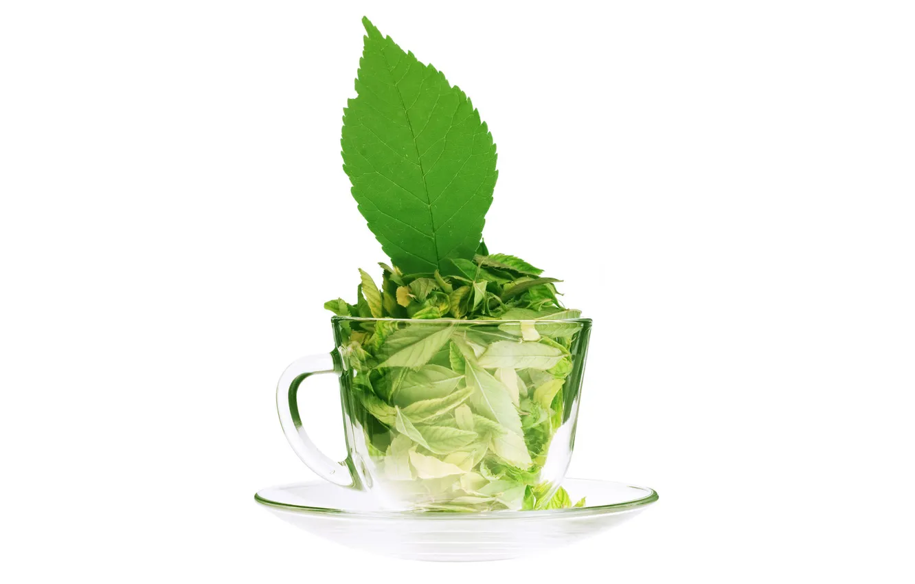Photo wallpaper glass, green, tea, leaf, Cup