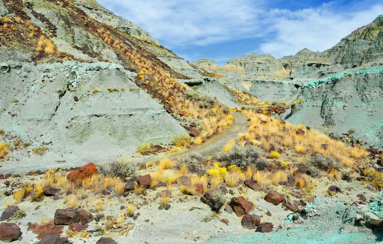 Photo wallpaper road, landscape, mountains