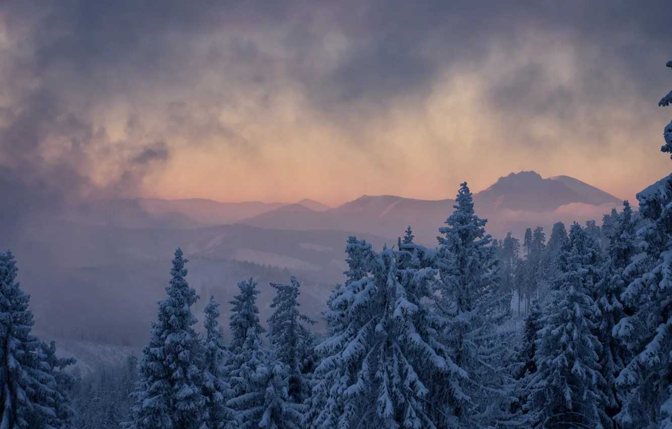 Photo wallpaper winter, clouds, trees, landscape, mountains, nature, fog, ate
